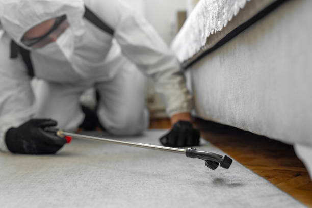 Professional Bed Bug Control technician working in Yazoo County County, MS